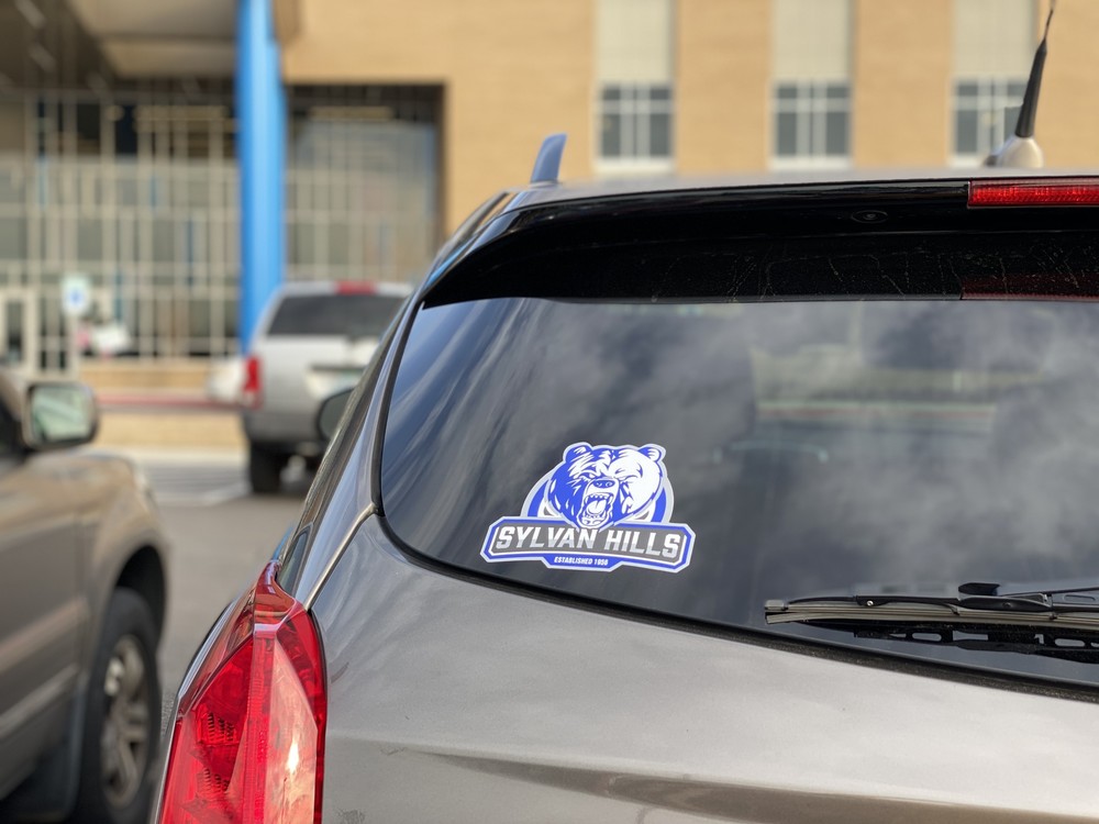 bear pride
