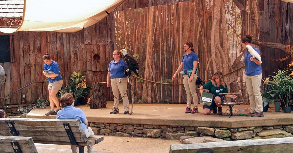 Little Rock Zoo Virtually Wild Baker Elementary
