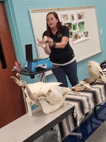 Maumelle Middle Teacher Shows Off Wildlife Collection