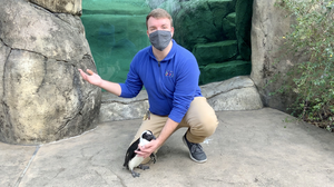 Virtual Zoofari Spring Break Camp Open for Elementary Students