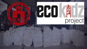 ECO Kidz Project Begins Multi-Meal Distribution