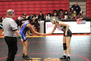 Lady Bear Wrestling Team Prepared for Tournaments