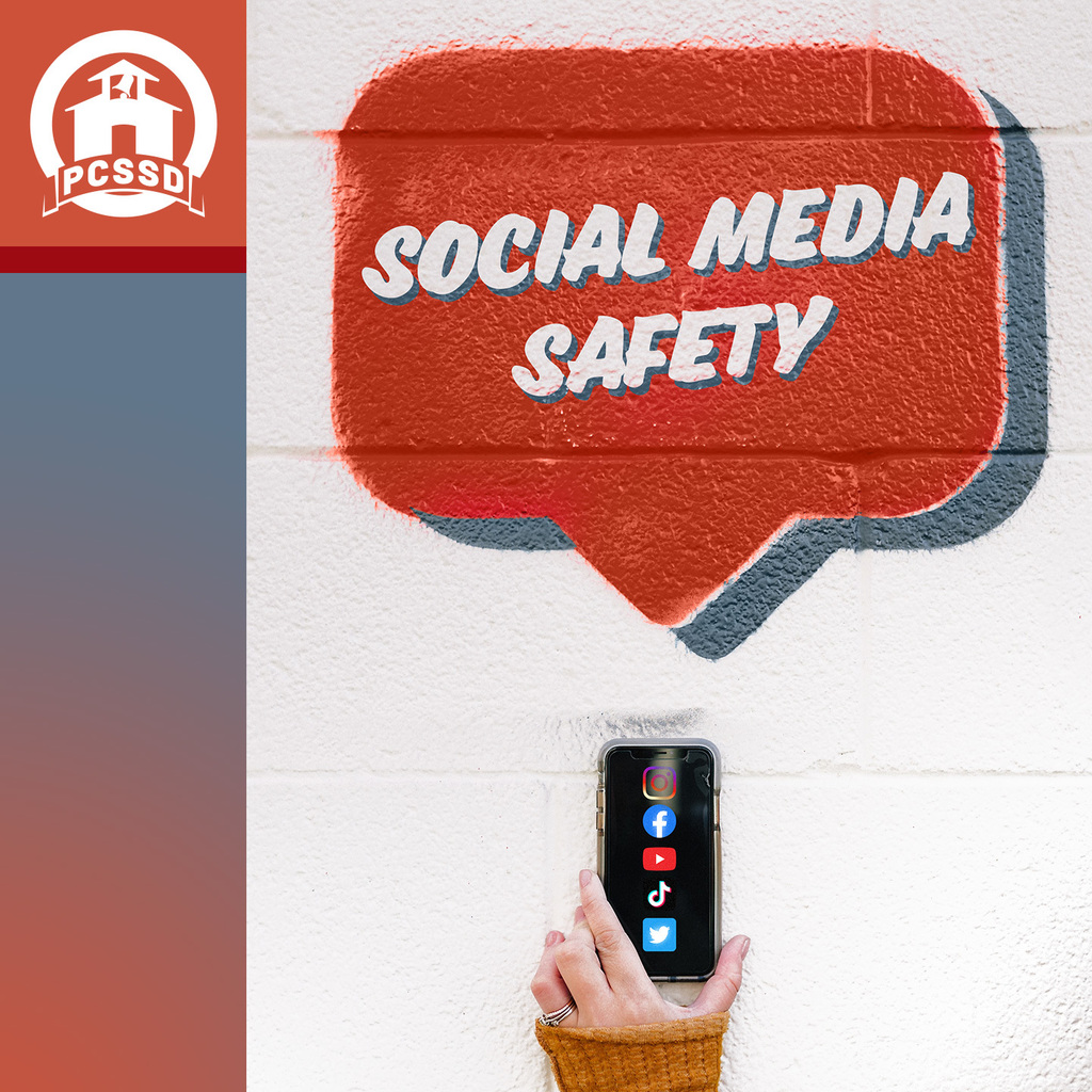 Social media safety