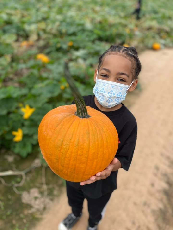 ches pumpkin patch 2