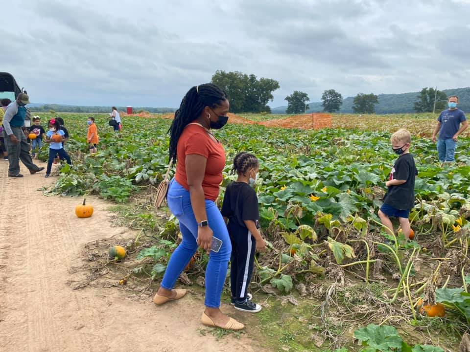 ches pumpkin patch 3