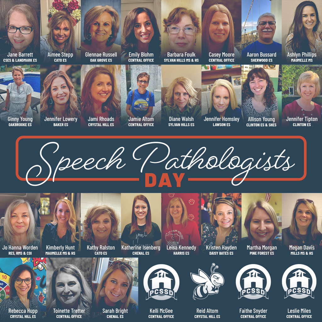 speech pathologists day