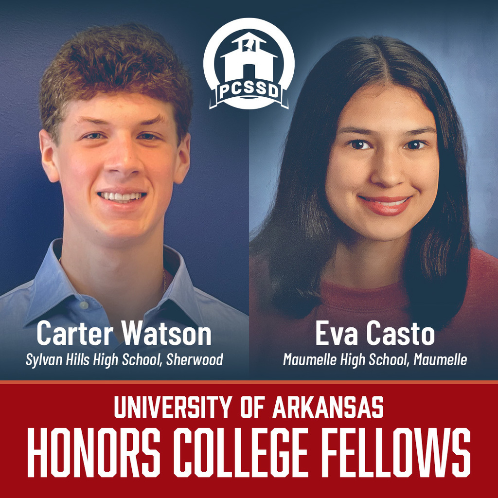 UA Honors College Fellows