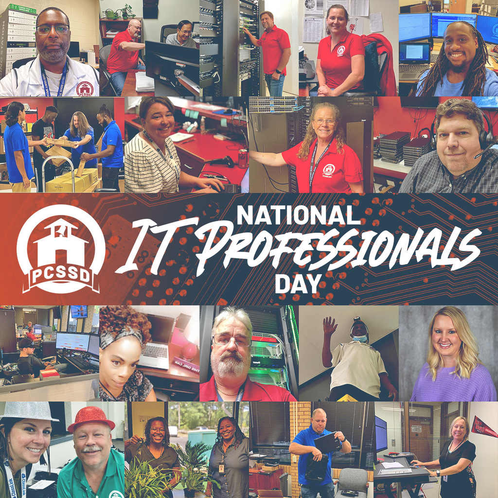 national it professionals day