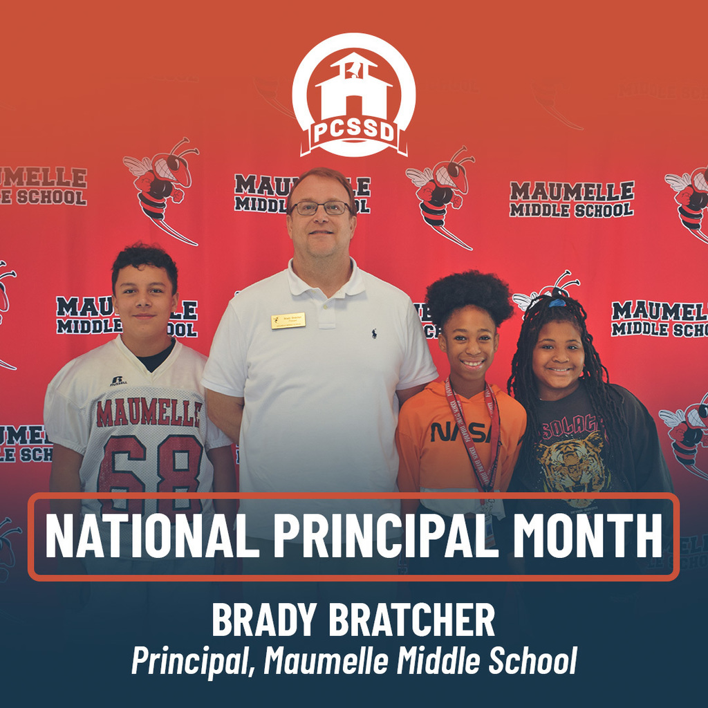 npm brady bratcher