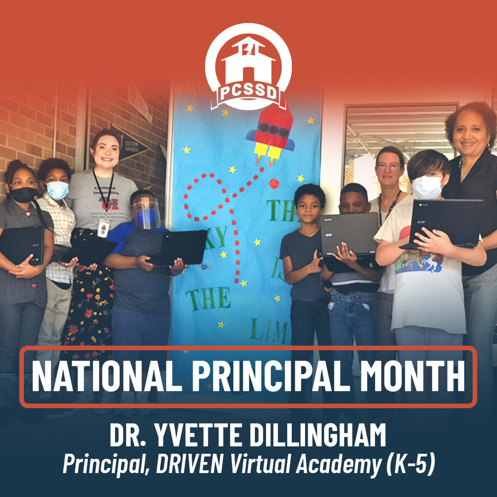npm yvette dillingham