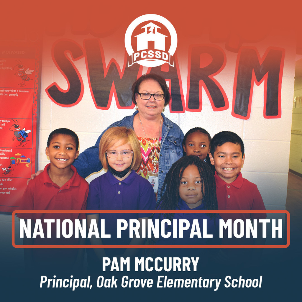 npm pam mccurry