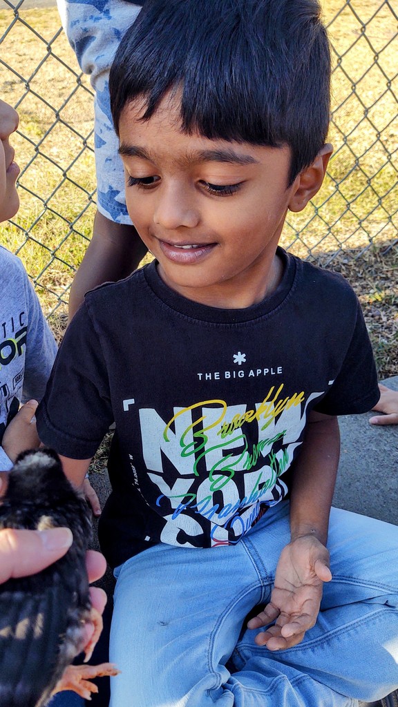 Pumpkin Fun for PreK