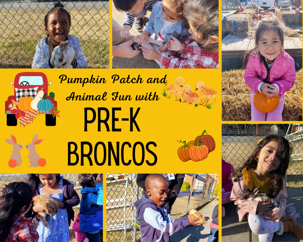 PreK Pumpkin Collage