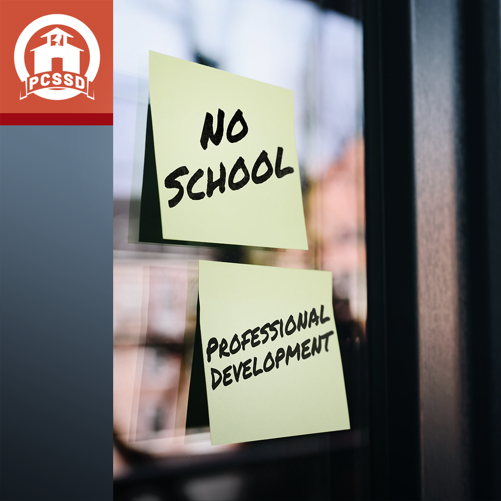 no school professional development