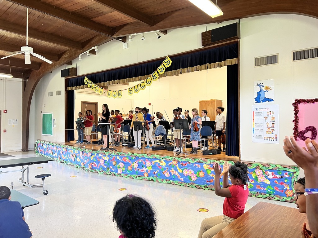 cses orchestra concert 2