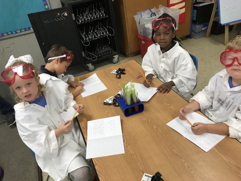 first grade science experiment