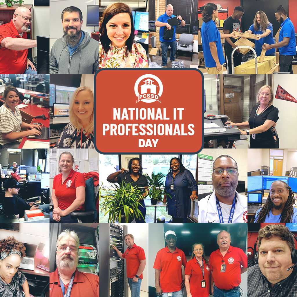 it professionals day