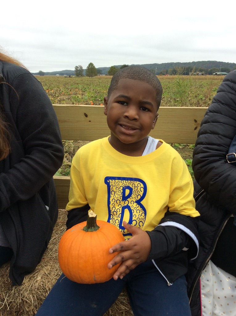 Kindergarten field trip to pumpkin patch