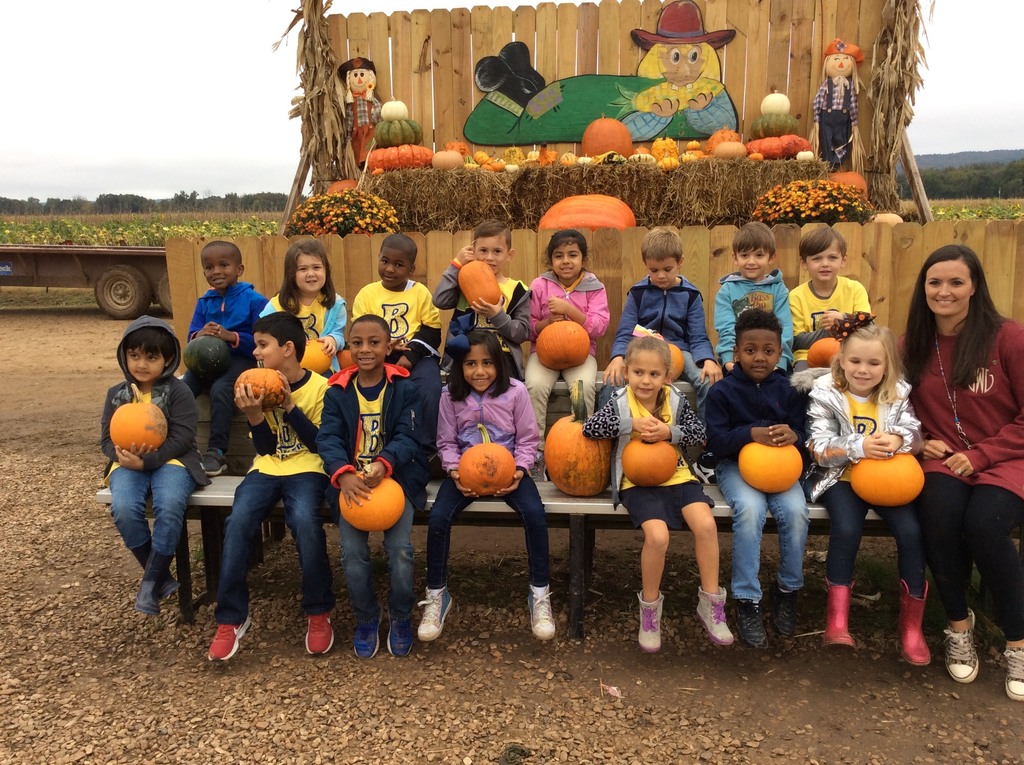 Kindergarten field trip to the pumpkin patch