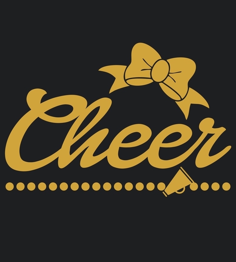 Cheer clinic